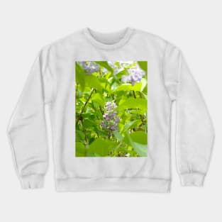 Lilac Hidden in the Leaves Crewneck Sweatshirt